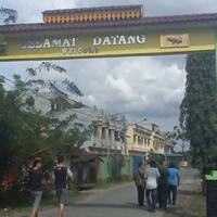 intip-penangkaran-buaya-di-asam-kumbang-medan-sumut-yuk-ada-buaya-buntungnya-lho