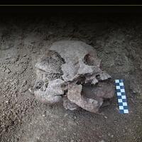 arkeolog-menemukan-quotvampirquot-yang-terkubur-dengan-batu-dimulutnya