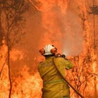 lebih-parah-dari-indonesia-kebakaran-hutan-di-australia-bisa-membuat-cuaca-sendiri
