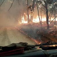 kumpulan-foto-ini-menunjukan-betapa-mengerikannya-kebakaran-hutan-di-australia