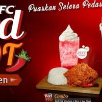 5-alasan-kenapa-nasi-ayam-fastfood-kecil-nomer-5-aneh-gan