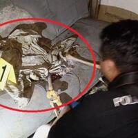 misteri-penemuan-kerangka-manusia-duduk-di-bandung-ini-fakta-faktanya