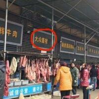 selain-virus-corona-pasar-hewan-di-seluruh-dunia-bisa-lahirkan-berbagai-penyakit