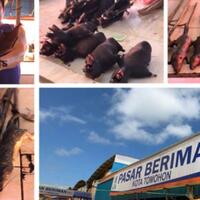 melihat-makanan-aneh-pasar-beriman-dari-tikus-asap-hingga-sate-biawak-tersedia