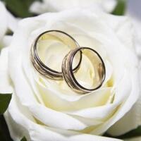 taaruf-kenali-menyeluruh-bukan-membeli-kucing-dalam-karung