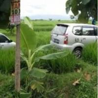 sempat-viral-di-medsos-mobil-tanpa-jejak-lumpur-tiba-tiba-berada-di-tengah-sawah