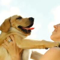 buat-para-newbie-ini-gan-cara-membuat-anjing-peliharaan-menjadi-lebih-pintar