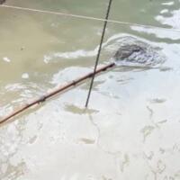 banjir-jakarta-warga-utan-kayu-petugas-ppsu-jangan-cuma-foto-foto