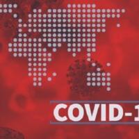 live-update-perkembangan-virus-corona-di-indonesia