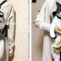 gemash-ada-tas-lucu-berbentuk-kucing-yang-super-realistis-loh