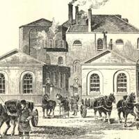 terbunuh-kaktus-hingga-logo-restoran-berikut-5-kematian-aneh-yang-cukup-mengerikan