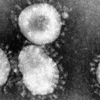 who-hindari-konsumsi-ibuprofen-untuk-obati-gejala-covid-19