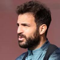 ketika-cesc-fabregas-jadi-orang-terbodoh-di-muka-bumi