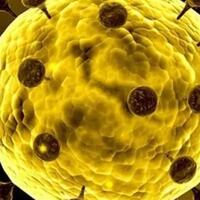 siapa-saja-pihak-yang-diuntungkan-dengan-adanya-corona