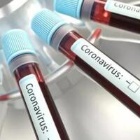 cek-fakta--study-terbaru-benarkah-golongan-darah-a-rentan-terhadap-virus-covid-19