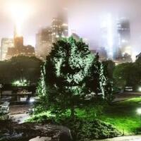 elegan-menggunakan-proyeksi-cahaya-ciptakan-potret-wajah-di-taman-kota