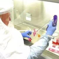 alat-tes-corona-dinilai-tak-akurat-inggris-minta-china-kembalikan-uangnya