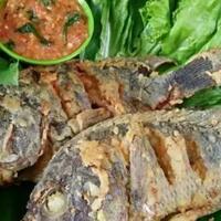 nama-ikan-mujair-ternyata-diambil-dari-nama-penemunya-orang-blitar-jatim-siapa-dia