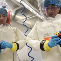 pemenang-nobel-kedokteran--virus-corona-hasil-rekayasa-di-lab-wuhan