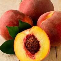 hati-hati-selain-mengandung-vitamin-5-buah-yang-sering-kita-makan-ini-juga-beracun