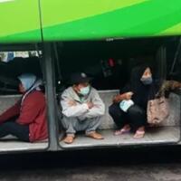 dilarang-mudik-viral-foto-bus-akap-bawa-penumpang-di-dalam-bagasi