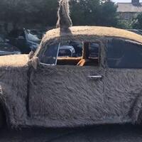 unik-volkswagen-beetle-ini-dipenuhi-dengan-bulu
