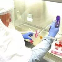 banyak-yang-dihentikan-uji-coba-obat-potensial-covid-19-tak-berhasil