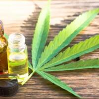 topang-krisis-ekonomi-lebanon-jadi-negara-arab-pertama-legalkan-ganja