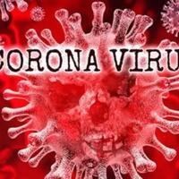 lipi--virus-korona-melambat-di-musim-panas-belum-tentu-benar