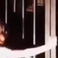 rindu-gurunya-bocah-sd-ini-datangi-sekolah-malam-hari-sambil-nangis