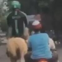 viral-driver-ojol-tunggangi-kuda-netizen-motor-ketarik-leasing