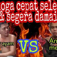 pjf-vs-csm-di-medan-pertarungan-ayam-laga-indonesia-sudah-legalkah-deal-25-juta