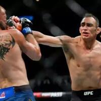 anatomi-mma-part-2