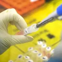 isolat-sars-cov-2-belum-ada-kok-bisa-kementan-bikin-antivirus-corona
