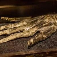sejarah-kelam-hand-of-glory-tangan-mayat-yang-dijadikan-jimat-perampokan