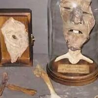 menolak-lupa-pembunuh-sadis-ini-membuat-sabuk-dari-payudar-wanita