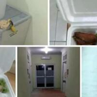 curhat-pasien-positif-corona-di-ruang-isolasi-rs-dikurung-dan-makanan-tak-layak