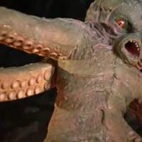 foto-penampakan--gurita-hantu-jepang--dengan-tentakelnya-yang-menyeramkan