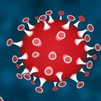 simak-nih-ternyata-ada-orang-yang-kebal-covid-19