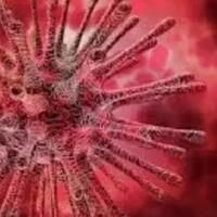 india-sembah-virus-corona