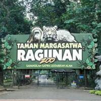 ragunan-zoo-ditengah-pandemi-covid-19