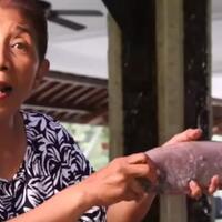 susi-pudjiastuti-saya-mohon-pak-presiden