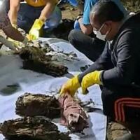 viral-ditemukannya-sembilan-bungkusan-kain-kafan-di-makam-kudus-ritual-santet-kah