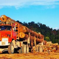 nissan-sang-legenda-pengangkut-kayu-gelondongan