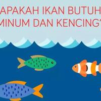 apakah-ikan-itu-minum-dan-juga-pipis-yuk-cari-tahu-gansist
