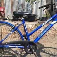 lilitan-utang-dan-pailitnya-raksasa-sepeda-lokal-wimcycle