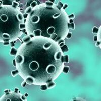 selalu-waspada-virus-corona-bisa-menempel-berhari-hari-di-smartphone-kamu