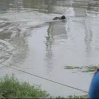 detik-detik-ibu-tewas-di-kalimalang-demi-selamatkan-anaknya