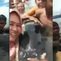 viral-paus-predator-jadi-mainan-emak-emak-dikira-lumba-lumba
