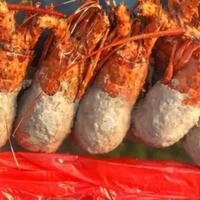 viral-bakso-lobster-geger-armada-vs-permata-ternyata-ada-yang-bermain-licik